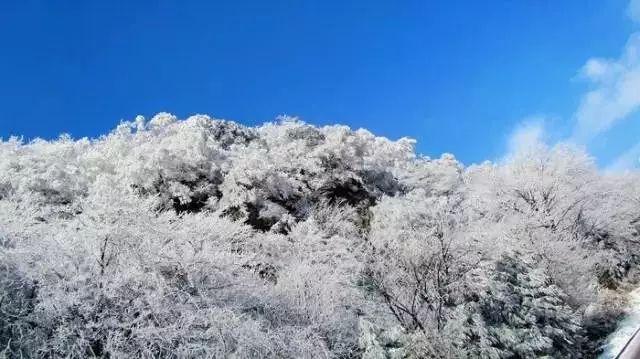 Meiko手刃老东家，TES横扫EDG拿下首胜，赛后笑着与前队友握手
