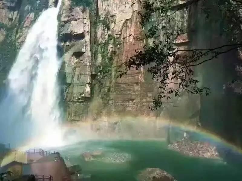 盐和避难所