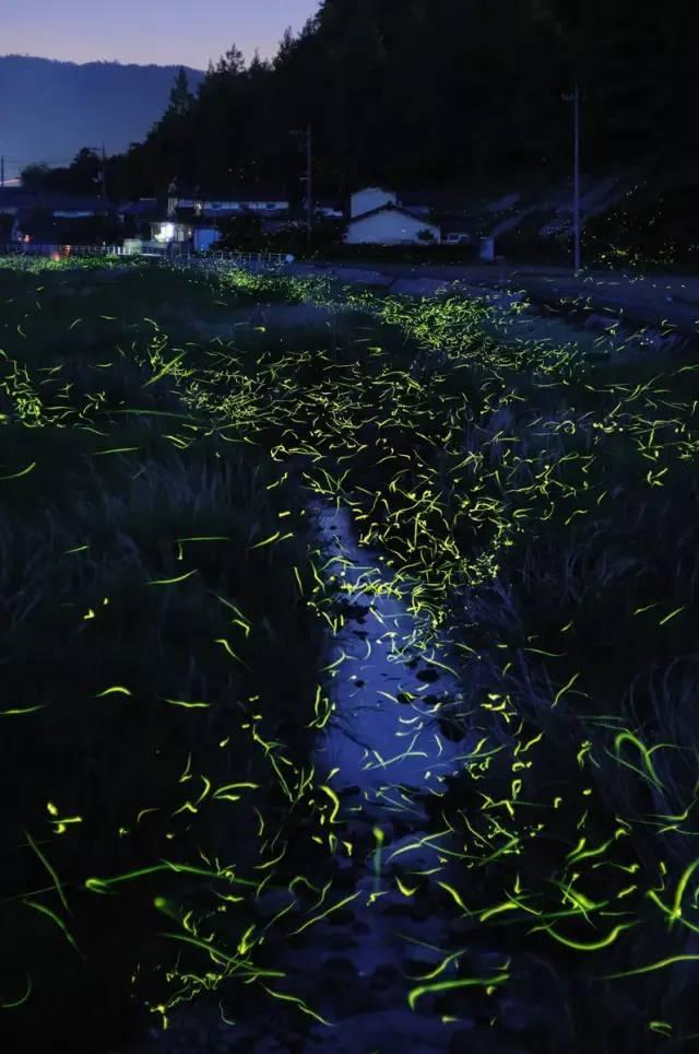 深圳机场日均航班超1200架次