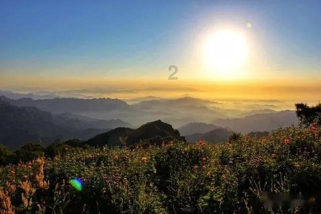 活鱼活虾活螃蟹能带上地铁吗?天津官方回应了!