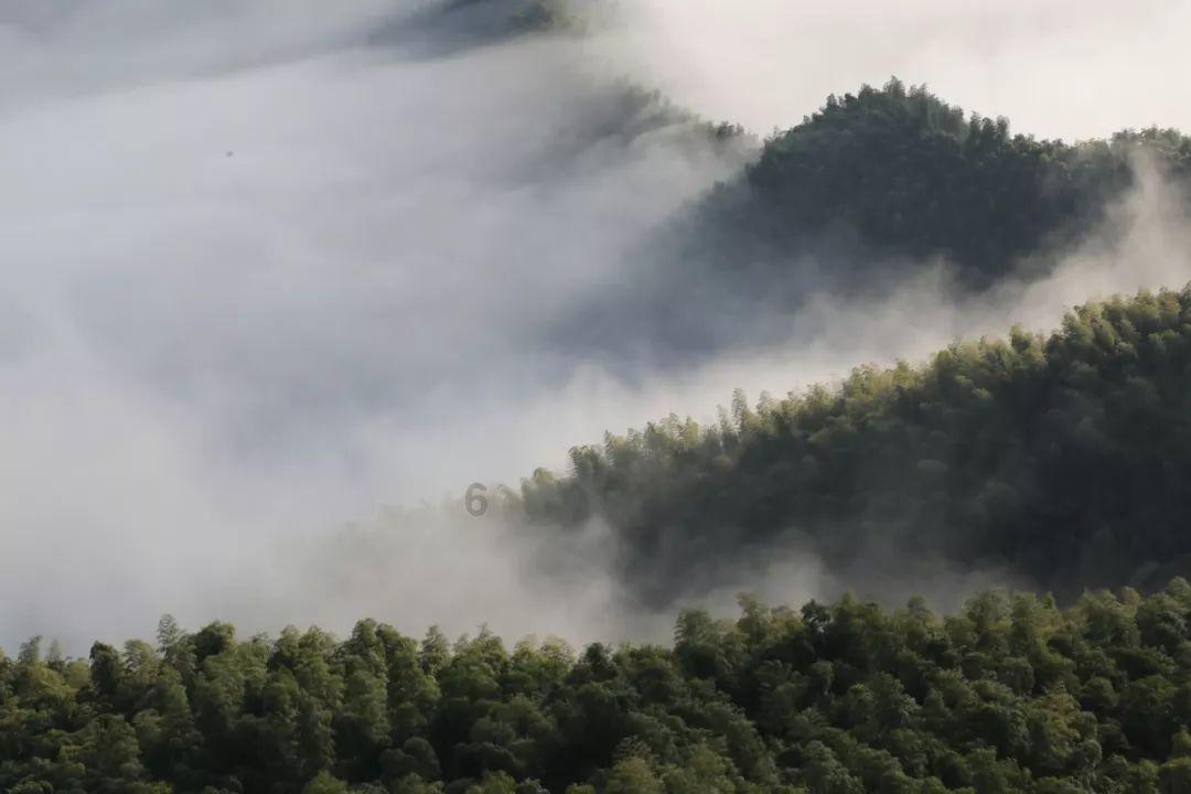 厨房装修这样布局，暗喻家中粮仓散尽，想富裕就难了！