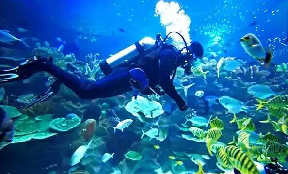 1年净赚超1.25亿！沈阳中兴逆袭与太原街的“复兴之路”