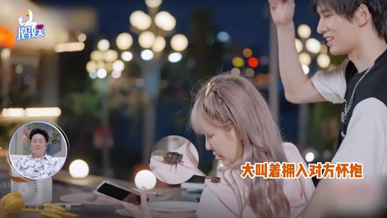 逗小猴开心系列206