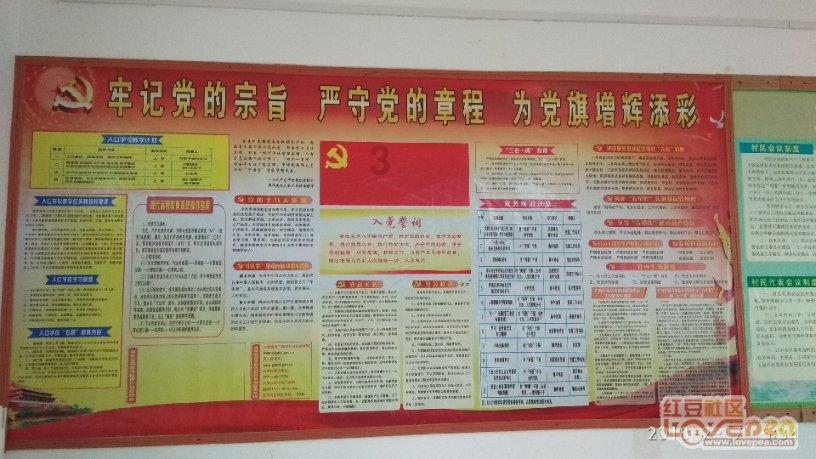 看山东聊城如何联农带农富农