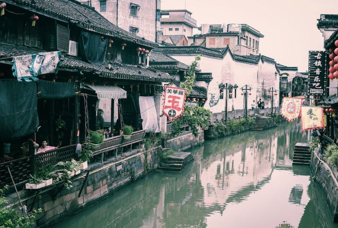 僵尸顶顶乐