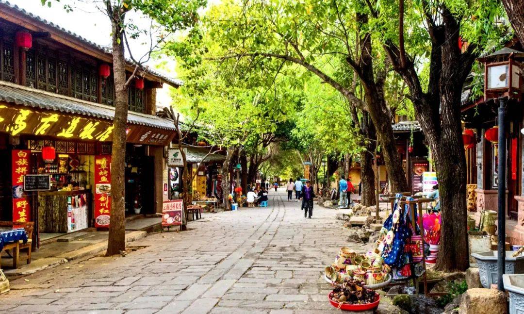 瑞德的冒险之旅中文版